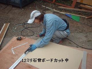 本日9日め・・・・・_f0031037_2102531.jpg