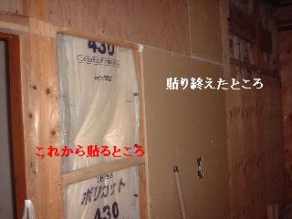 本日9日め・・・・・_f0031037_2104945.jpg