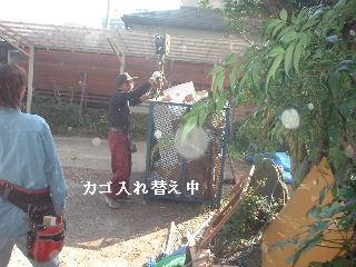本日9日め・・・・・_f0031037_2115739.jpg