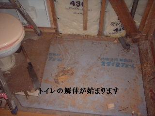 本日9日め・・・・・_f0031037_2125178.jpg