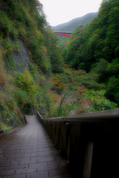 紅葉情報 小安峡_c0176838_23252486.jpg