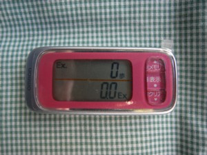 c0119142_0552943.jpg