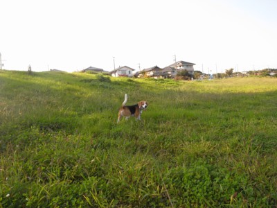 c0119142_103850.jpg