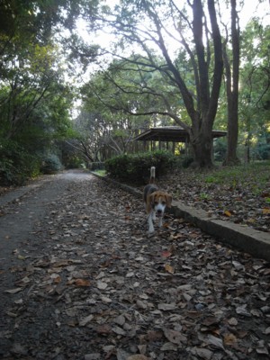 c0119142_183784.jpg