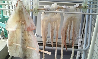c0038548_17233080.jpg