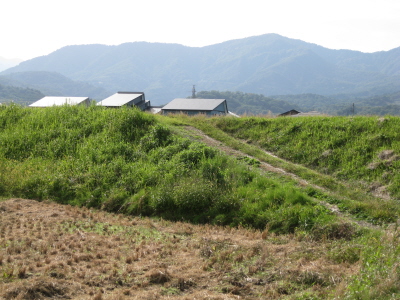 c0145449_1985069.jpg