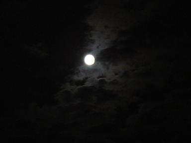 f0046854_20144733.jpg