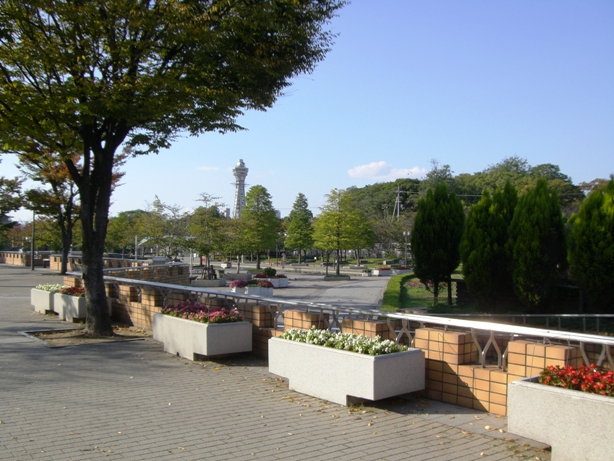 天王寺駅～天王寺公園内～私立美術館～天王寺動物園～新世界～通天閣～　_f0186356_2174220.jpg