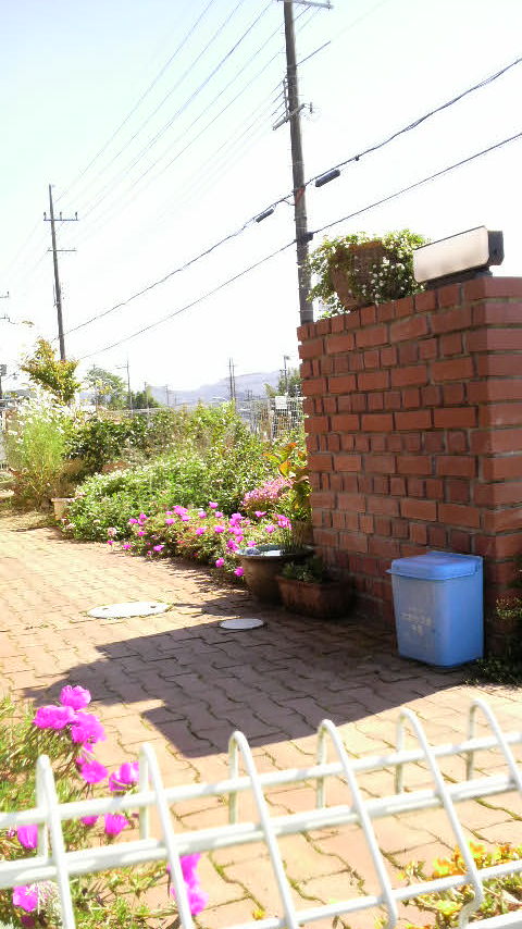 c0147261_195473.jpg