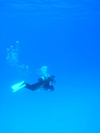 b0062363_97228.jpg