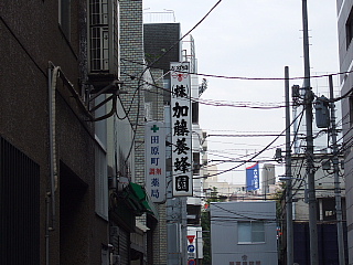 b0053765_22121418.jpg