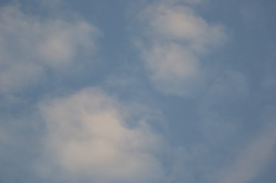 d0141365_20282147.jpg