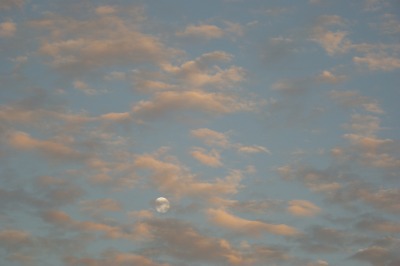 d0141365_20284429.jpg