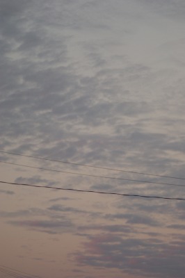 d0141365_20293492.jpg