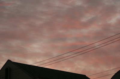 d0141365_20294061.jpg