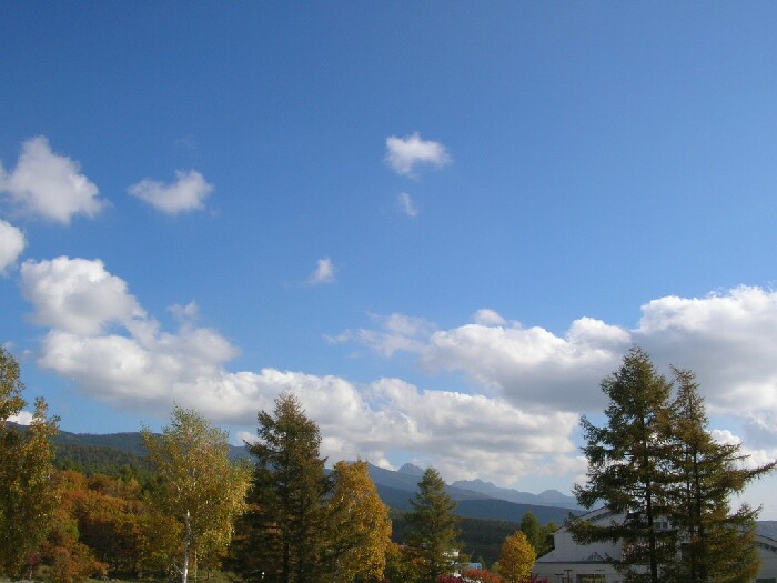 今度は紅葉を求めて、また蓼科へ。~後編~_b0125570_1123848.jpg