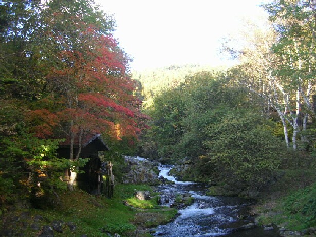 今度は紅葉を求めて、また蓼科へ。~後編~_b0125570_1134444.jpg