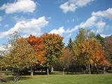 c0148270_858331.jpg