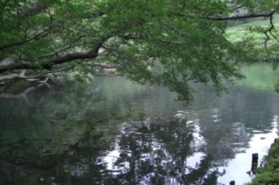 b0134673_14133816.jpg