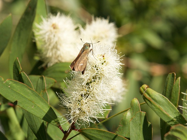 b0135573_204238.jpg