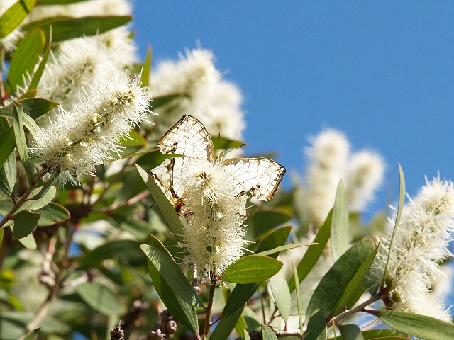 b0135573_2042655.jpg