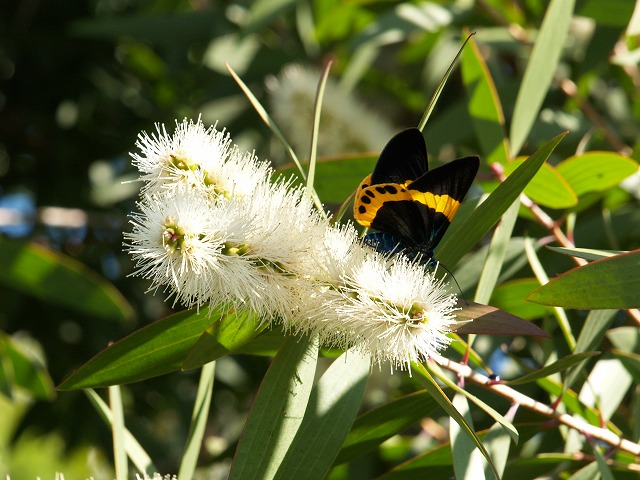b0135573_207674.jpg