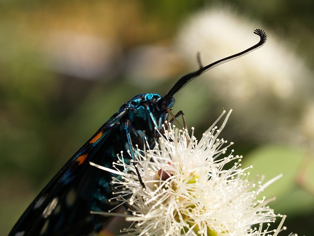 b0135573_2081460.jpg