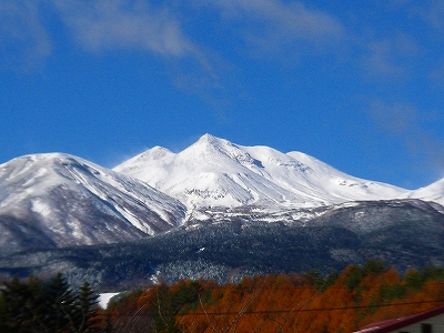 f0182173_20321725.jpg