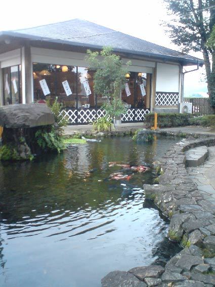 宮崎県紀行 綾町_b0019674_23285679.jpg