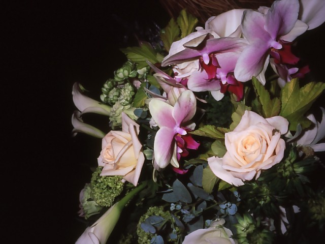 b0074377_2110114.jpg