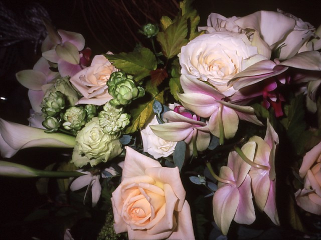b0074377_21101958.jpg