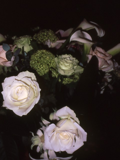 b0074377_21103641.jpg