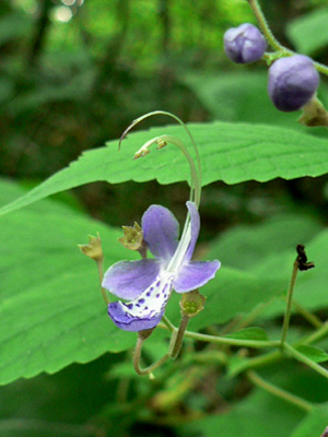 f0083977_6451649.jpg