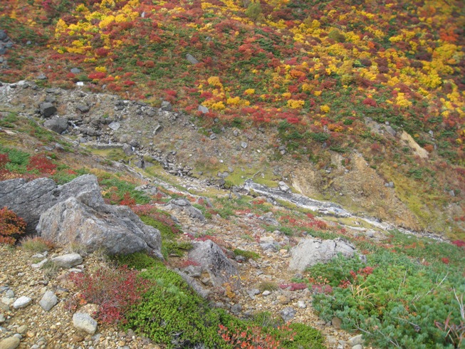 a0087378_46940.jpg