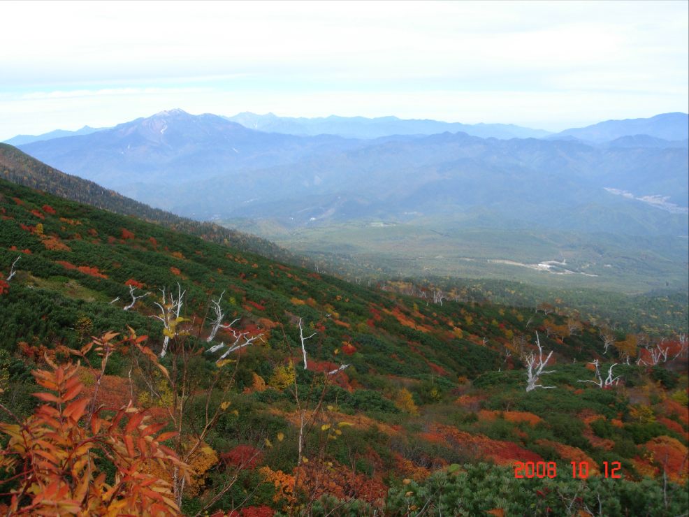 f0124378_19164649.jpg