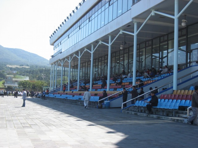 d0012685_21537100.jpg