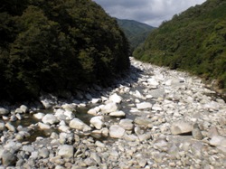 f0129585_048171.jpg
