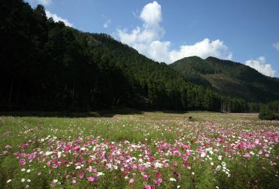 写真撮影会_c0092689_20102434.jpg