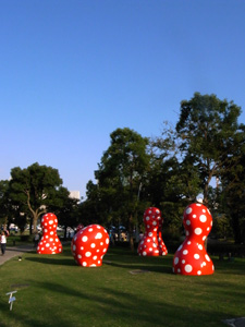 f0024090_1747231.jpg