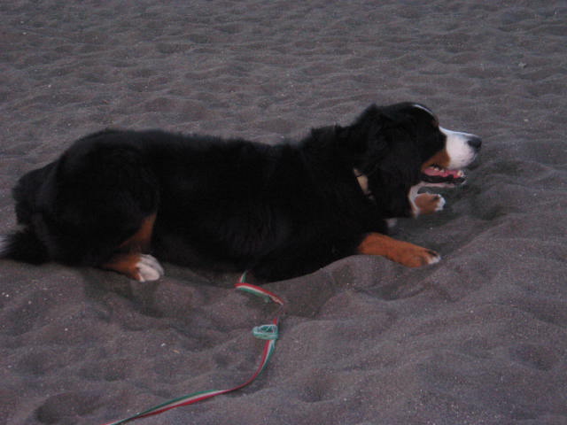 c0123692_8274399.jpg
