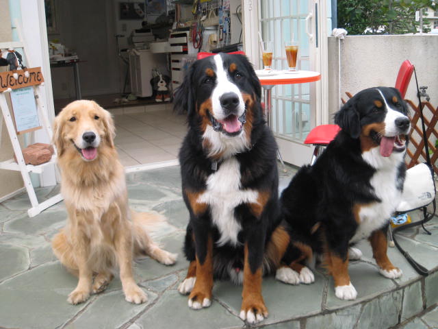 c0123692_8293882.jpg