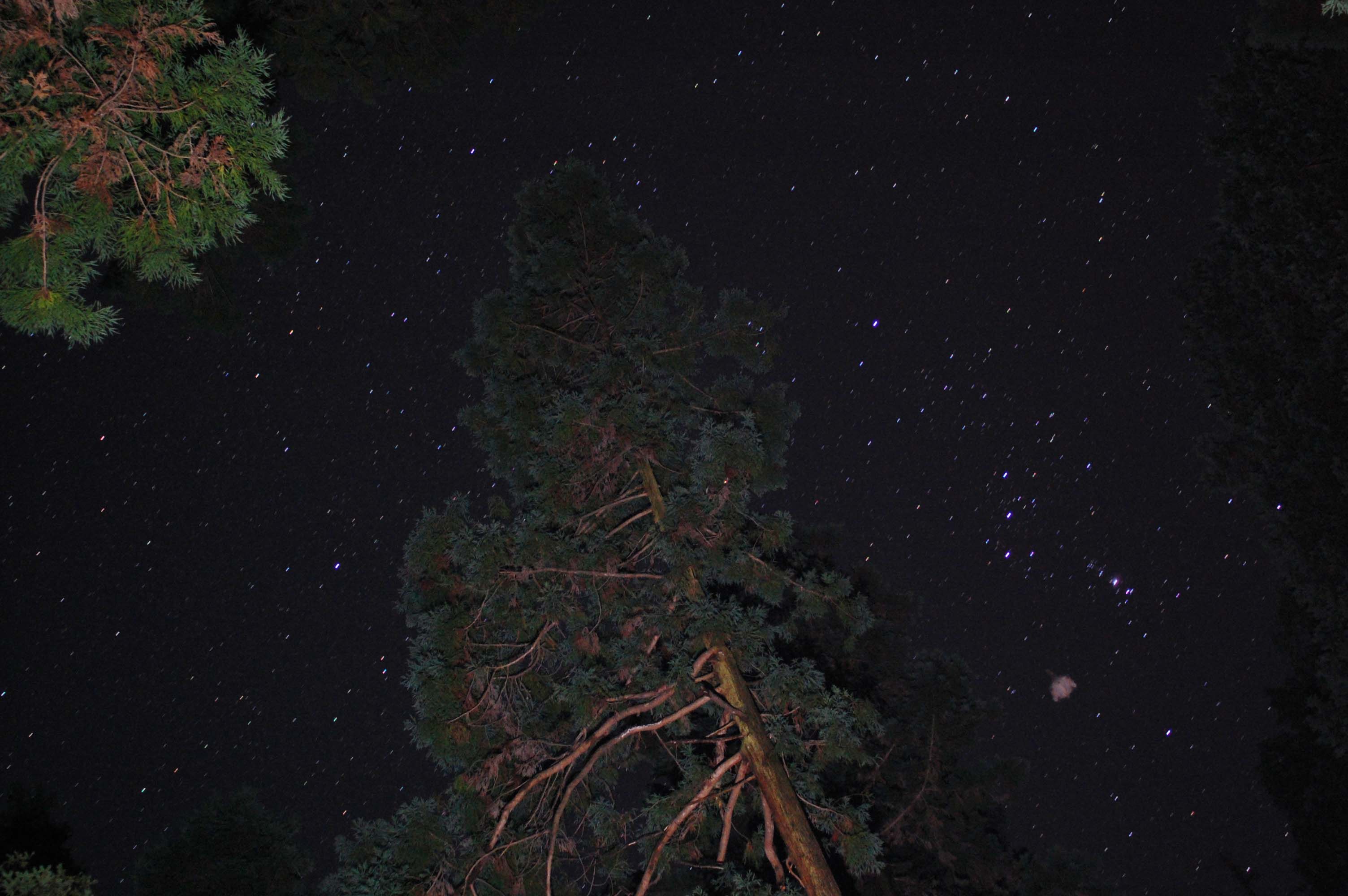 f0047593_14203829.jpg