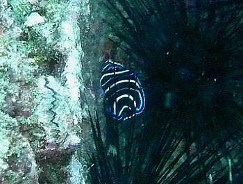 f0079996_11381968.jpg