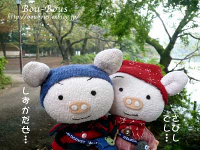 雨の井の頭公園………_d0128697_030598.jpg