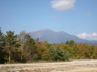 b0138798_1038357.jpg