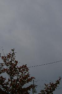 c0039898_96584.jpg