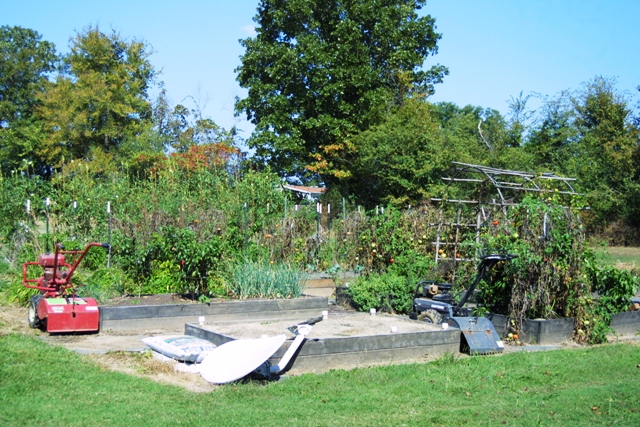 c0062603_1022145.jpg