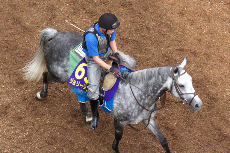 人と馬と 美浦トレセン見学記その1 みちのり 人と馬と 美浦トレセン見学記その1 みちのり