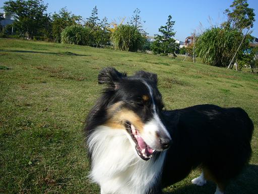 e0130008_2044529.jpg