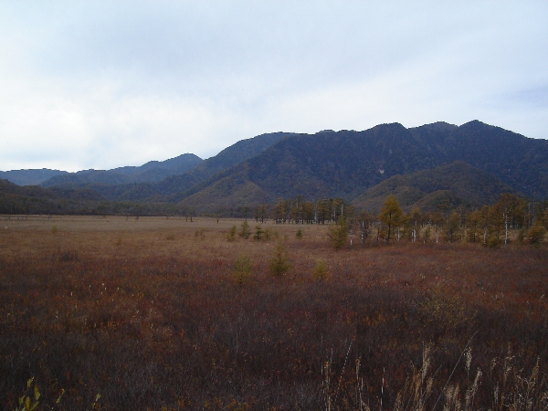 f0006510_0193690.jpg
